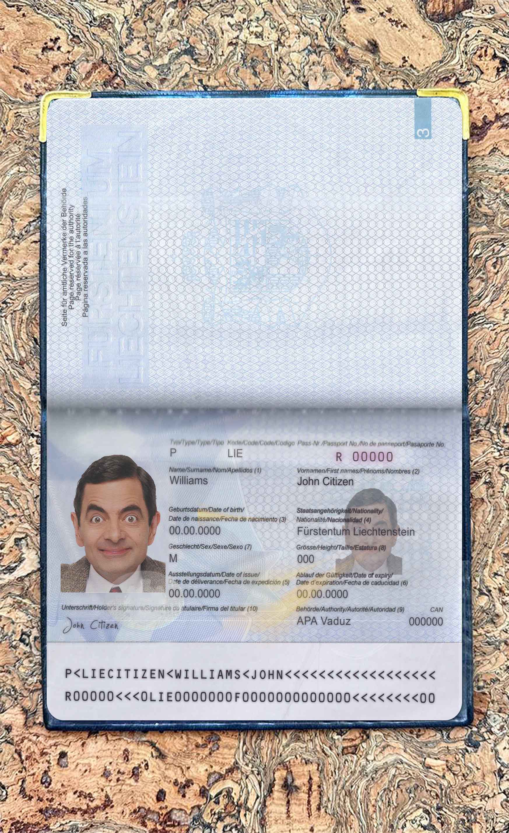 Liechtenstein pass photo look PSD template